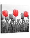 Canvas painting - Red tulips in a meadow | FEEBY