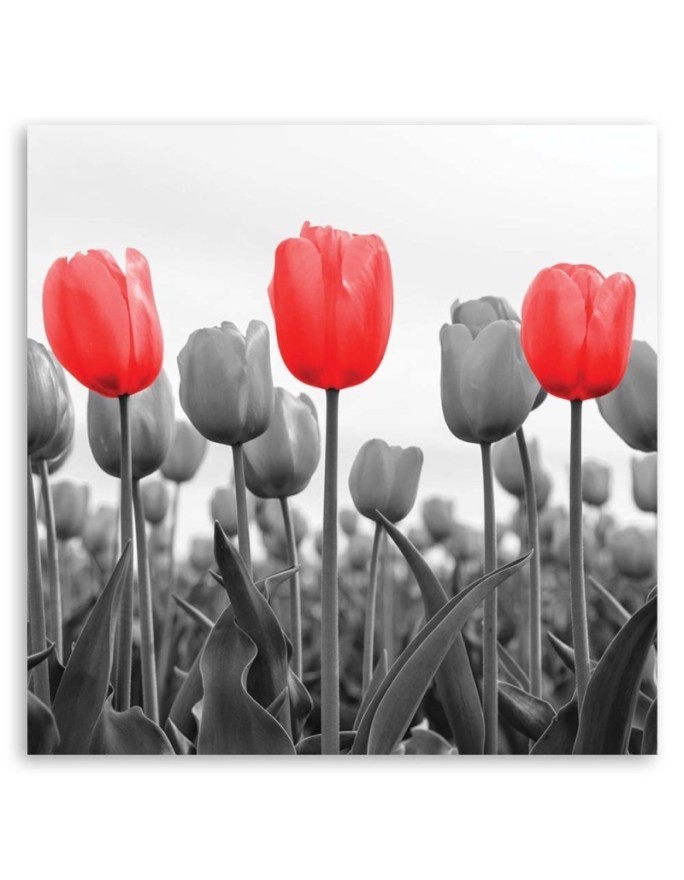 Canvas painting - Red tulips in a meadow | FEEBY