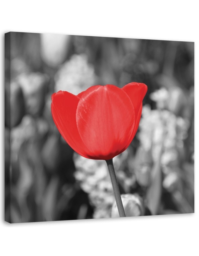 Modern Canvas painting for bedroom - Red tulips in a meadow | FEEBY