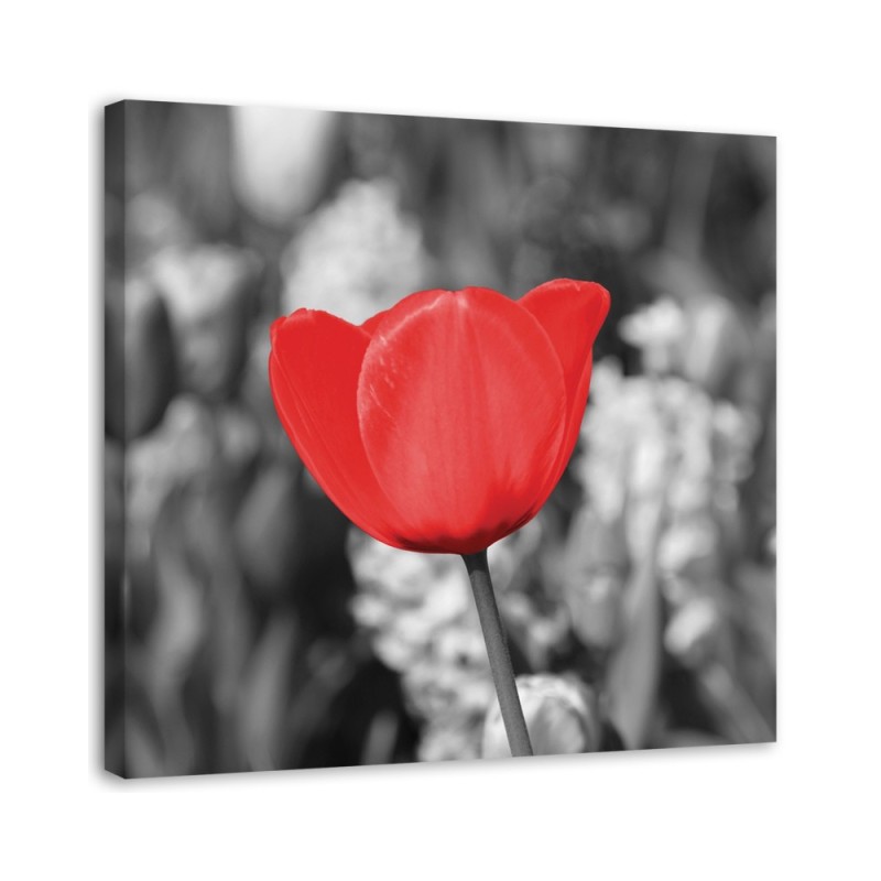 Modern Canvas painting for bedroom - Red tulips in a meadow | FEEBY