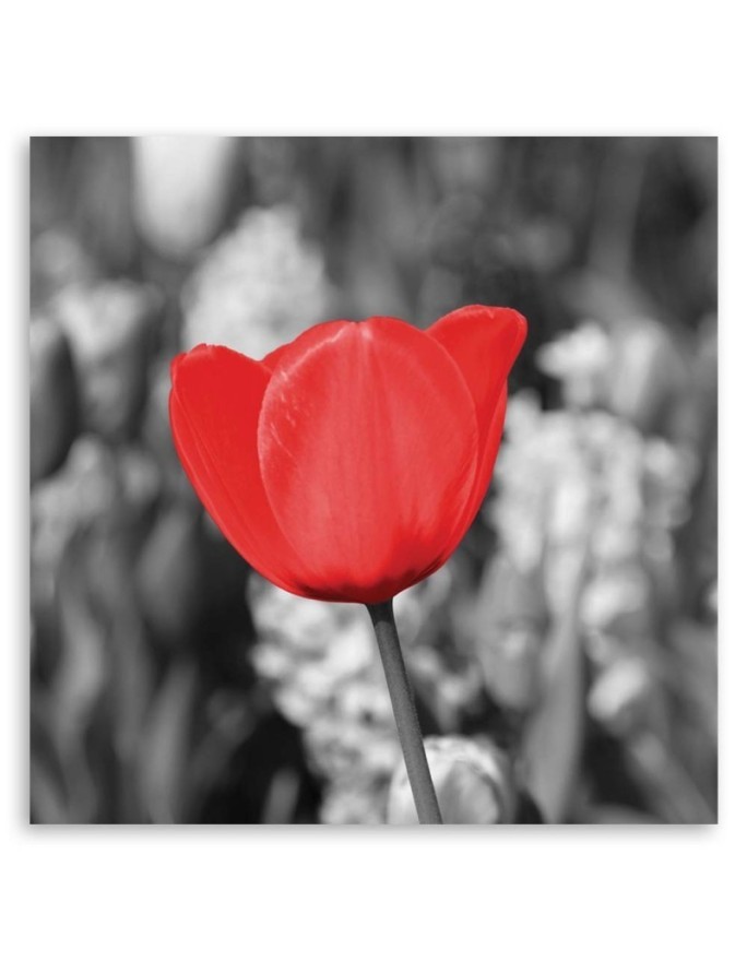 Modern Canvas painting for bedroom - Red tulips in a meadow | FEEBY