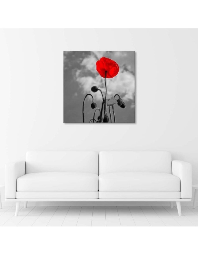 Canvas painting for living room - Flowering poppy | FEEBY