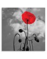 Canvas painting for living room - Flowering poppy | FEEBY