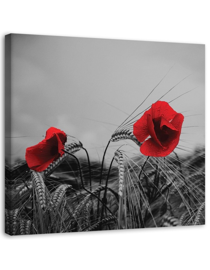 Canvas print Red poppies