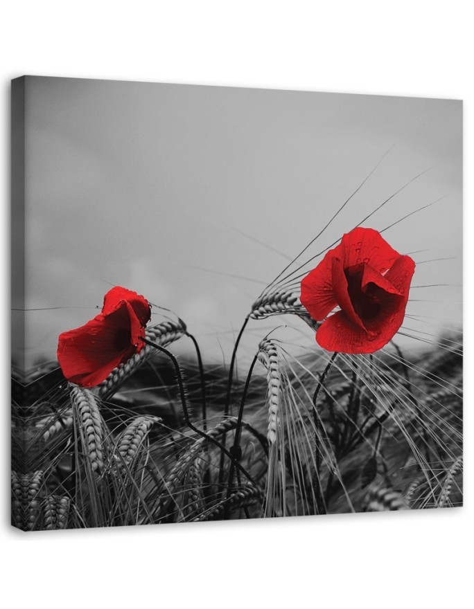 Canvas print modern - Red poppies and grain | FEEBY