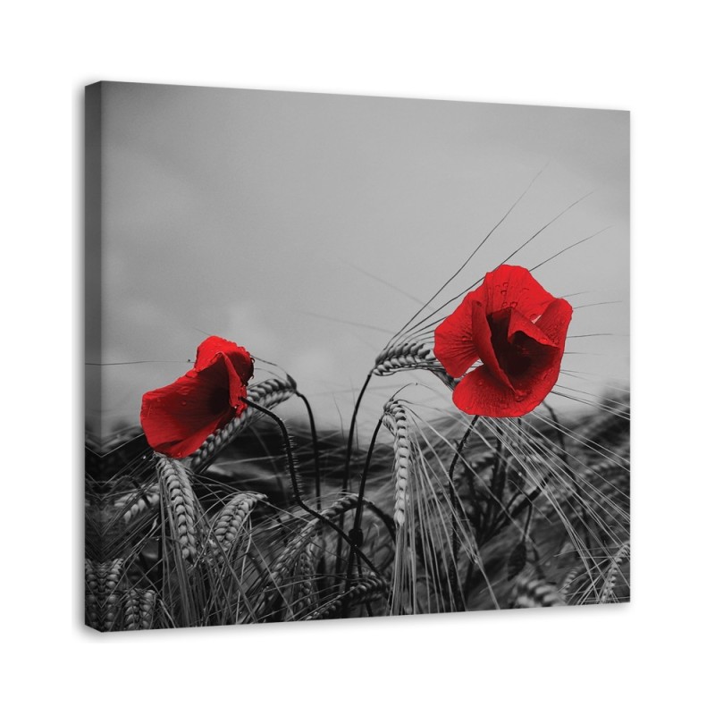 Canvas print modern - Red poppies and grain | FEEBY