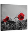 Canvas print modern - Red poppies and grain | FEEBY