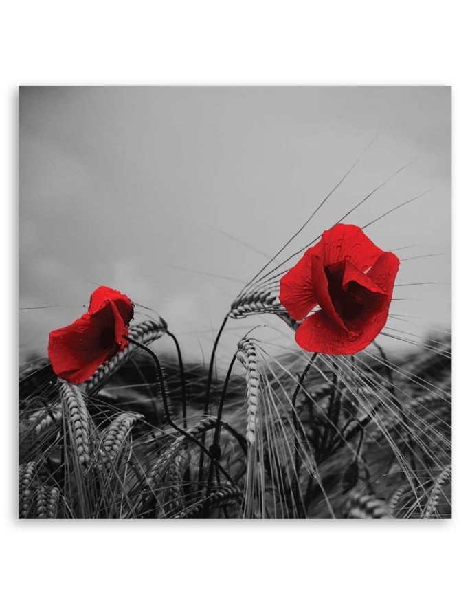 Canvas print modern - Red poppies and grain | FEEBY