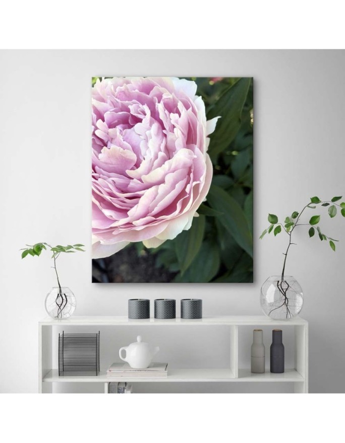 Canvas print - Pink peony flower macro | FEEBY