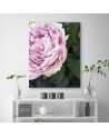 Canvas print - Pink peony flower macro | FEEBY
