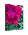 Canvas print - Macro flower. High quality  | FEEBY