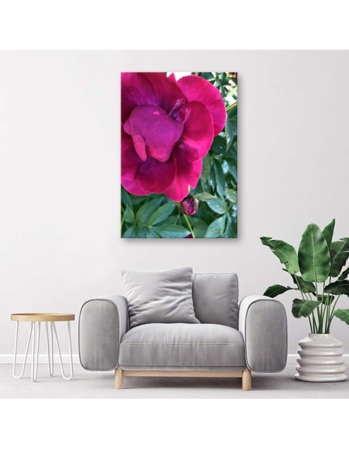 Canvas print - Macro flower. High quality  | FEEBY