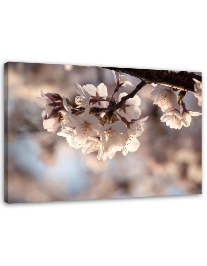 Modern Canvas painting for living room - Cherry blossom nature | FEEBY