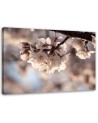 Modern Canvas painting for living room - Cherry blossom nature | FEEBY