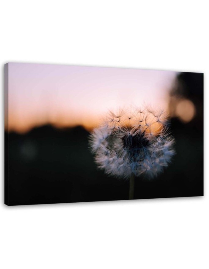 Canvas prints for living room - Dandelion flower and sunset | FEEBY