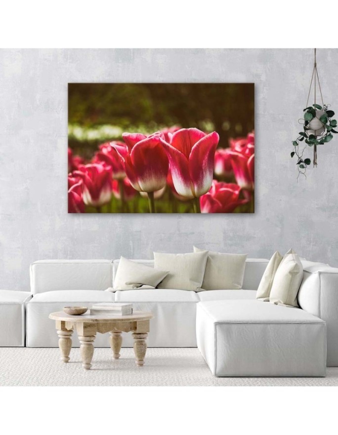 Blooming tulips flowers - Canvas prints for living room | FEEBY