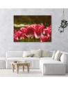 Blooming tulips flowers - Canvas prints for living room | FEEBY