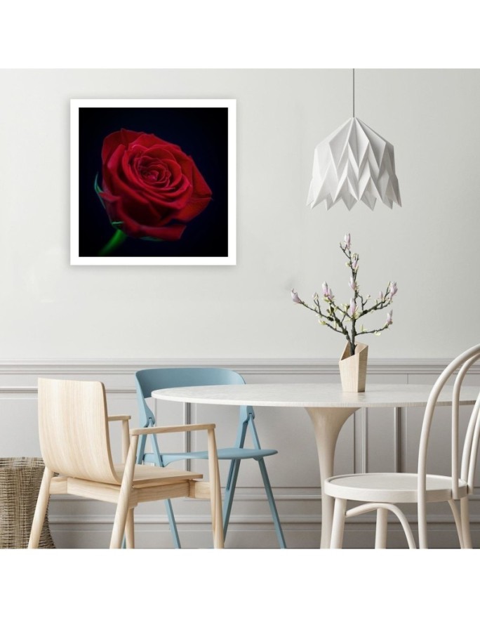 Red rose flower nature - Canvas painting | FEEBY