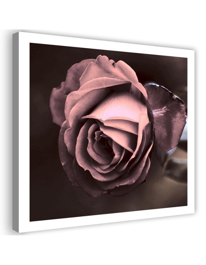 Beautiful rose - Modern Canvas painting for bedroom | FEEBY