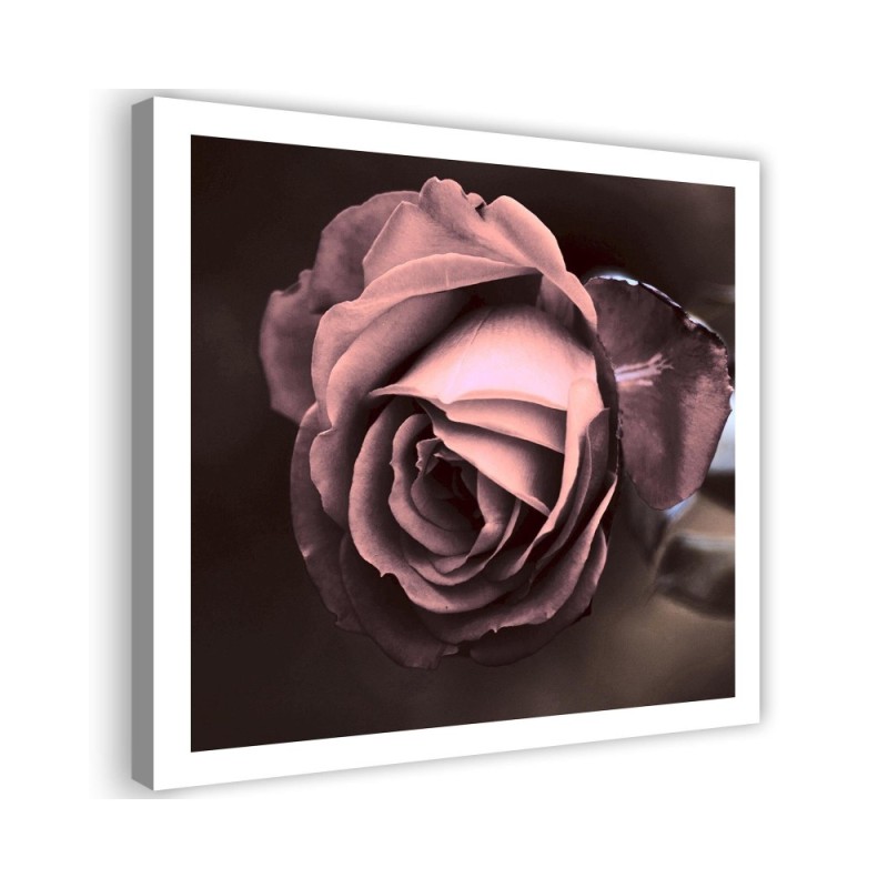 Beautiful rose - Modern Canvas painting for bedroom | FEEBY