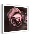 Beautiful rose - Modern Canvas painting for bedroom | FEEBY