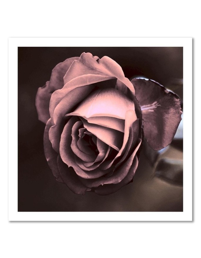Beautiful rose - Modern Canvas painting for bedroom | FEEBY