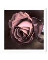 Beautiful rose - Modern Canvas painting for bedroom | FEEBY