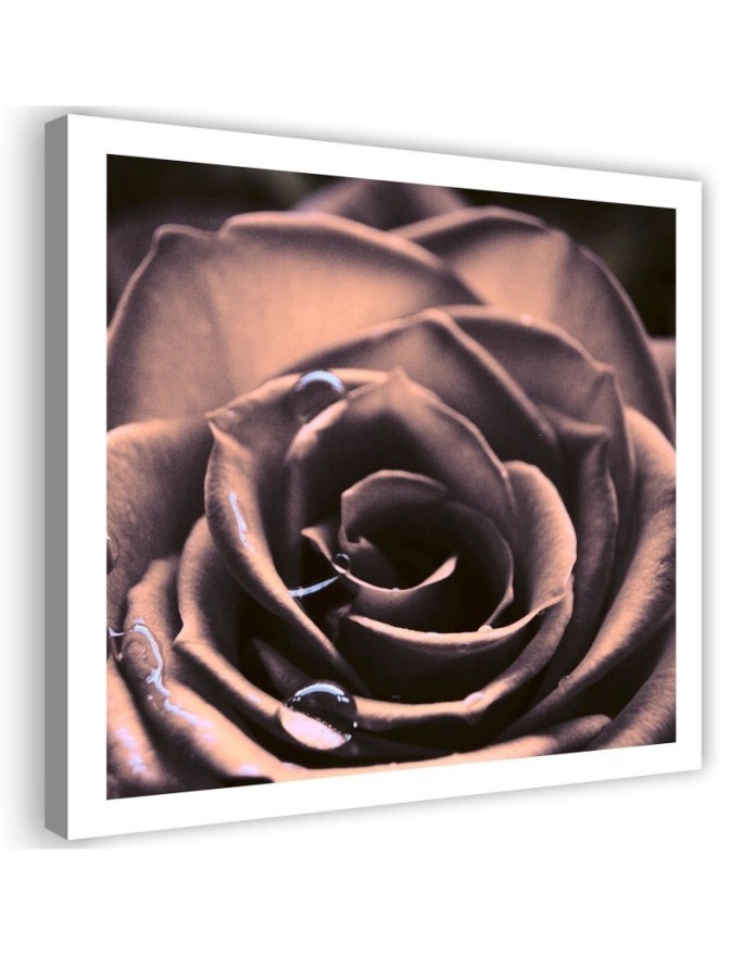 Water drops on a rose - Modern bedroom Canvas painting | FEEBY