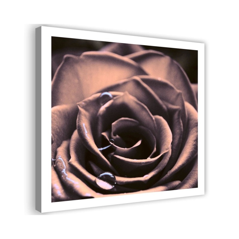 Water drops on a rose - Modern bedroom Canvas painting | FEEBY