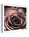 Water drops on a rose - Modern bedroom Canvas painting | FEEBY