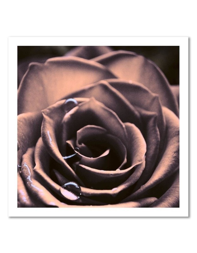 Water drops on a rose - Modern bedroom Canvas painting | FEEBY