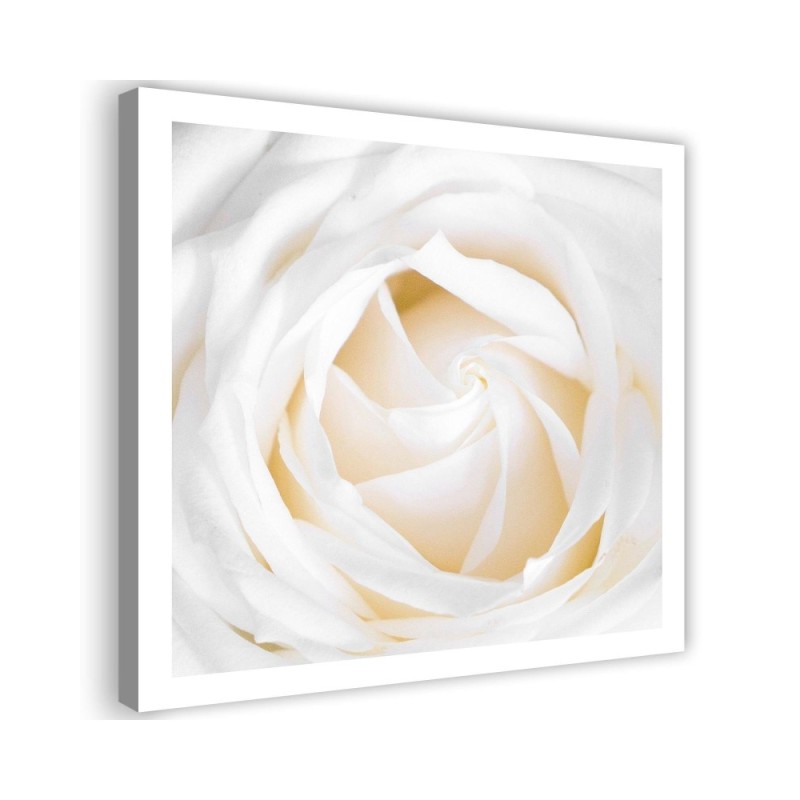 Delicate cream rose - Canvas painting for living room | FEEBY