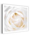 Delicate cream rose - Canvas painting for living room | FEEBY