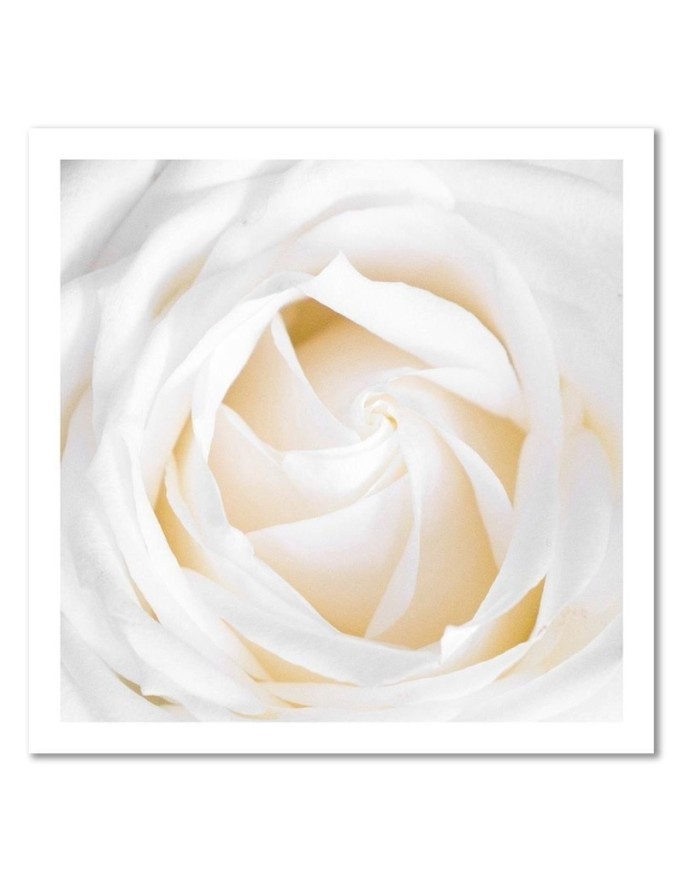 Delicate cream rose - Canvas painting for living room | FEEBY