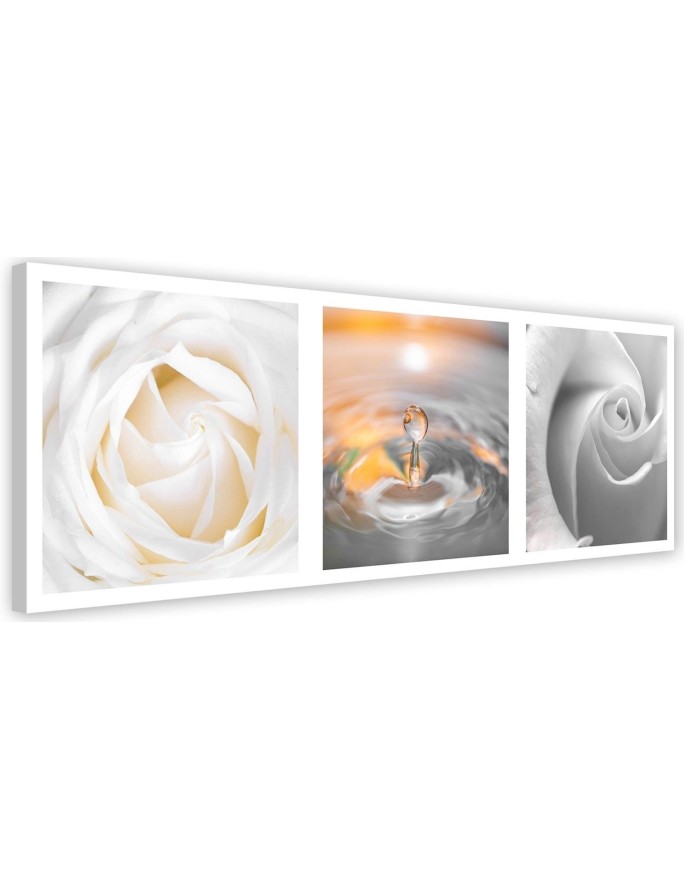 Roses flowers water drop - Canvas print modern | FEEBY