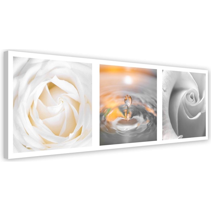 Roses flowers water drop - Canvas print modern | FEEBY
