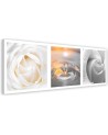 Roses flowers water drop - Canvas print modern | FEEBY