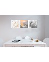 Roses flowers water drop - Canvas print modern | FEEBY