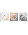 Roses flowers water drop - Canvas print modern | FEEBY