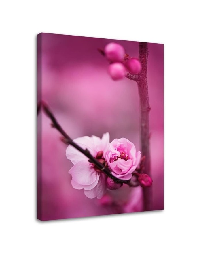 Pink flower macro - Modern painting for living room | FEEBY