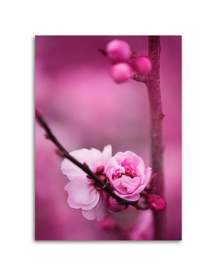 Pink flower macro - Modern painting for living room | FEEBY