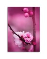 Pink flower macro - Modern painting for living room | FEEBY