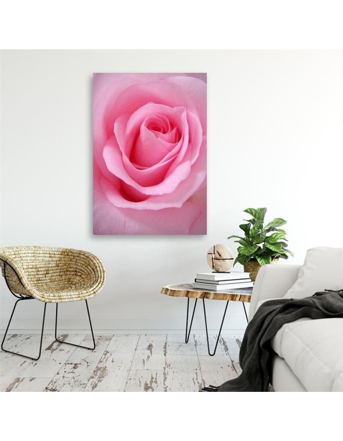 Rose flower nature - Picture for the living room | FEEBY