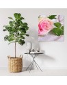 Modern Canvas painting for bedroom - Rose and clover | FEEBY
