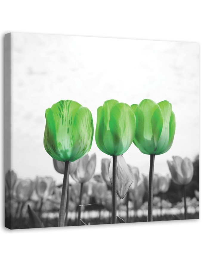 Canvas prints for bedroom modern - Green tulips in a meadow | FEEBY
