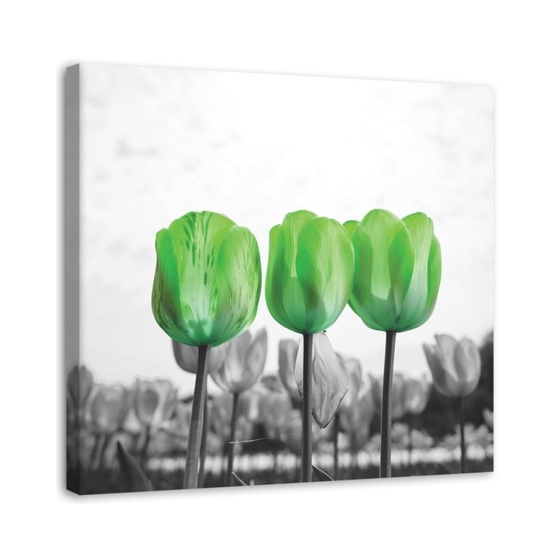 Canvas prints for bedroom modern - Green tulips in a meadow | FEEBY