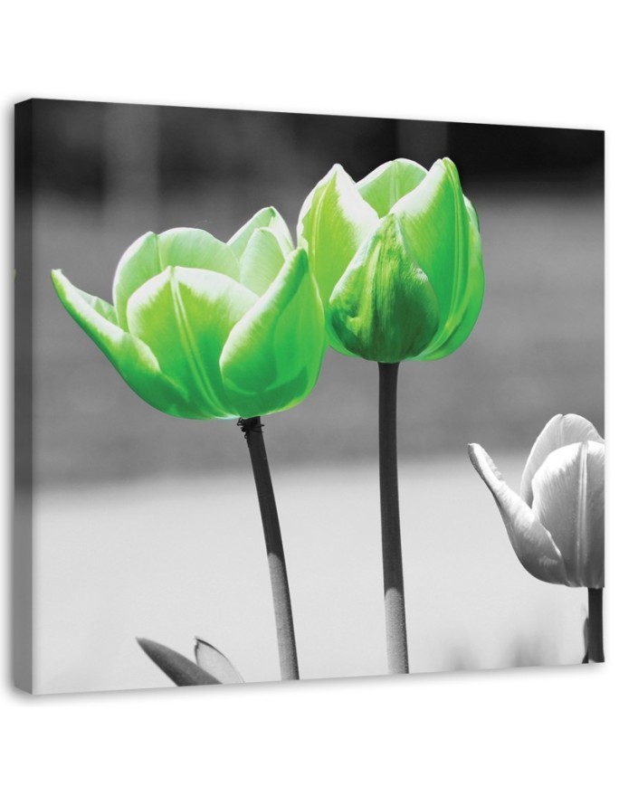 Canvas painting for living room - Green tulips in grey | FEEBY