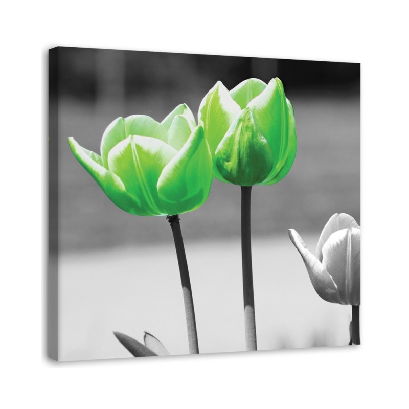 Canvas painting for living room - Green tulips in grey | FEEBY
