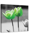 Canvas painting for living room - Green tulips in grey | FEEBY