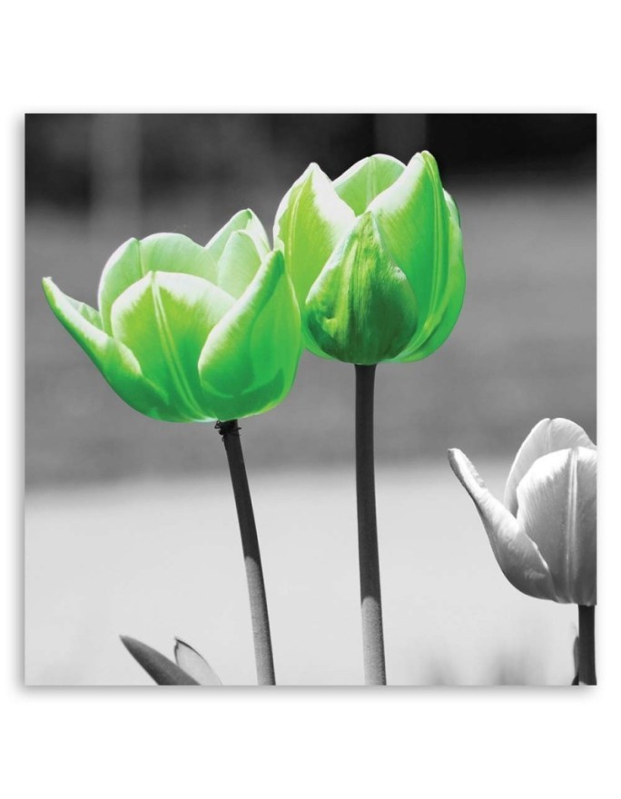Canvas painting for living room - Green tulips in grey | FEEBY